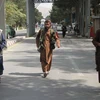 Liên hợp quốc kêu gọi cộng đồng quốc tế duy trì đối thoại với Taliban