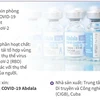 Những thông tin cần biết khi tiêm vaccine phòng COVID-19 Abdala