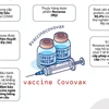 Indonesia cấp phép sử dụng vaccine ngừa COVID-19 của Novavax