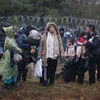 Belarus sẵn sàng thảo luận vấn đề hồi hương người tị nạn với EU, LHQ