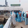 Tiếp nhận 18 thuyền viên tàu hàng bị nạn trên vùng biển Bình Thuận