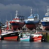 Pháp cảnh báo EU có thể có hành động pháp lý với Anh về đánh bắt cá
