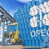 OPEC tổ chức cuộc họp để thảo luận bổ nhiệm Tổng Thư ký mới