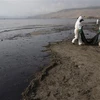 Lại xảy ra tràn dầu ở khu vực bờ biển Peru do đường ống gặp sự cố