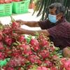 Doanh nghiệp Việt Nam tăng cường hiện diện tại thị trường Ấn Độ