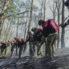 Hàn Quốc dập tắt đám cháy rừng lớn sau hơn 8 ngày bùng phát
