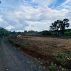Đắk Lắk cách chức hai cán bộ phường sai phạm trong quản lý đất đai 