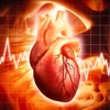 Mô tim được in 3D có thể duy trì nhịp đập hơn 6 tháng trong ống nghiệm