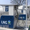 Đức và Qatar bất đồng trong đàm phán về nguồn cung khí đốt LNG 