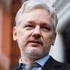 EC kêu gọi Anh không dẫn độ nhà sáng lập WikiLeaks đến Mỹ
