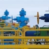 Gazprom: Việc cung cấp khí đốt cho châu Âu qua Ukraine vẫn ổn định 