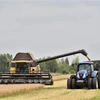 Romania giúp Ukraine đẩy nhanh việc xuất khẩu ngũ cốc