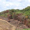 Lập tổ công tác đặc biệt kiểm tra, xử lý vi phạm đất đai tại Phú Quốc