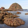 Phú Yên: Hệ sinh thái san hô Hòn Yến bị hư hại, suy giảm nghiêm trọng