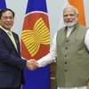 Việt Nam-Ấn Độ đẩy mạnh hợp tác song phương hiệu quả và thực chất