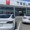Hệ thống lái xe tự động của hãng Tesla tiếp tục hứng chỉ trích