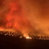 Hơn 1.000 lính cứu hỏa chật vật khống chế vụ cháy rừng lớn tại Pháp