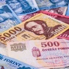 Đồng tiền các nước Trung và Đông Âu chịu sức ép khi kinh tế giảm tốc