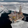 Nhật Bản chủ trương duy trì lợi ích trong dự án dầu khí Sakhalin 2