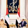 Ai Cập, UAE ủng hộ tăng cường hệ thống hành động chung Arab
