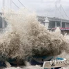 Siêu bão Hinnamnor có thể là cơn bão mạnh nhất từng đổ bộ vào Hàn Quốc