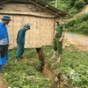 Nghệ An: Xuất hiện vết nứt dài hơn 700m, nhiều hộ dân di dời khẩn cấp