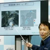 Nhật Bản thực hiện biện pháp khẩn cấp ứng phó siêu bão Nanmadol