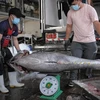 Nỗ lực ngăn chặn tàu cá vi phạm tại vùng biển nước ngoài