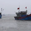 Phú Yên không có tàu cá vi phạm vùng biển nước ngoài trong mấy năm qua