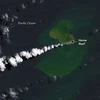 Hòn đảo mới "mọc lên" ở Tonga sau khi núi lửa phun trào