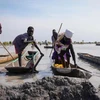 Lũ lụt khiến 75.000 người tị nạn Sudan không nhận được lương thực