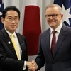 Australia nêu bật tầm quan trọng của quan hệ song phương với Nhật Bản