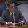 Việt Nam tái khẳng định lập trường nhất quán về vấn đề Palestine 
