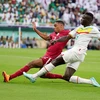 World Cup 2022: Bảng A - Qatar nỗ lực cho trận đấu cuối với Hà Lan 