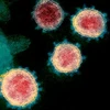 Mở rộng giải trình tự gene với virus gây bệnh hô hấp ngoài COVID-19
