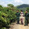 Kon Tum: Chiến sỹ biên phòng cùng dân 13 xã biên giới tất bật đón Tết