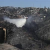 Chile ban bố tình trạng thảm họa do cháy rừng sau đợt nắng nóng 