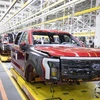 Hãng ôtô Ford cắt giảm 3.800 việc làm tại khu vực châu Âu