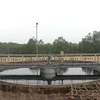 Quảng Trị: KCN hoạt động 15 năm nhưng chưa có hệ thống xử lý nước thải