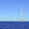 Mỹ dự kiến đấu thầu cho thuê cơ sở điện gió ngoài khơi vịnh Mexico 
