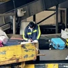 Khách mất hành lý ở sân bay, hãng đề xuất đền 120.000 đồng một kg
