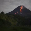 Indonesia: Núi lửa Anak Krakatoa phun trào, cột tro bụi cao 2,5km