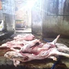 Bắc Giang: Phát hiện cơ sở giết mổ hơn 1 tấn lợn chết mang đi tiêu thụ