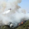Hàn Quốc huy động gần 100 trực thăng cứu hỏa để dập cháy rừng