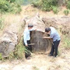 Kon Tum: Gần 80m3 gỗ tang vật sắp thành phế liệu trong khi chờ xử lý