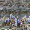S&P Global: Hoạt động sản xuất của các nhà máy trên toàn cầu suy yếu