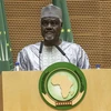 Liên minh châu Phi kêu gọi giải quyết khủng hoảng ở CHDC Congo, Sudan