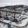 Nga gia hạn cắt giảm sản lượng dầu tự nguyện đến cuối năm 2024