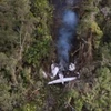 Indonesia: Máy bay cỡ nhỏ chở 6 người rơi xuống rừng rậm