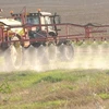 Không có lo ngại lớn khi tái cấp phép cho hóa chất diệt cỏ glyphosate